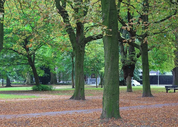 Maison Au Parc Guest house 3*